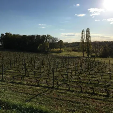 Superb With Private Garden In Velines, Cleaning Included Villa *
